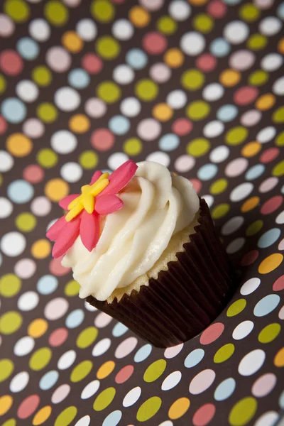 Cupcake med färgstarka bakgrund — Stockfoto