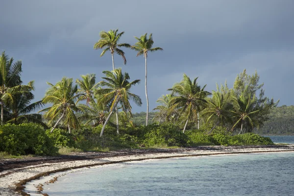 Spiaggia tropicale nei Caraibi — Foto Stock