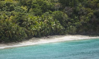 boş Beach'te: Karayipler