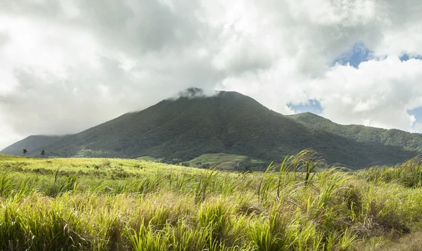 Mt Liamuiga em São Cristóvão — Fotografia de Stock
