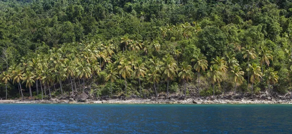 Панорама тропических лесов и пляжа — стоковое фото