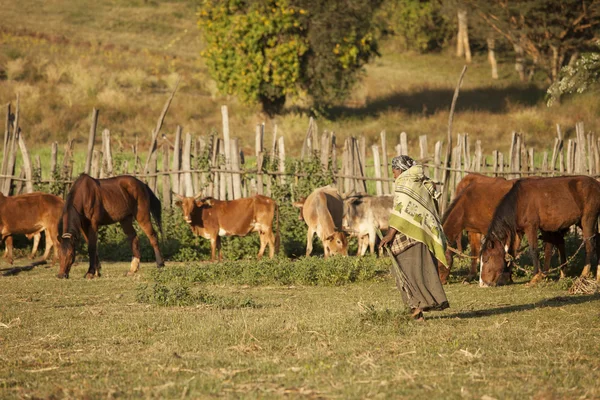 Donna di fattoria etiope — Foto Stock