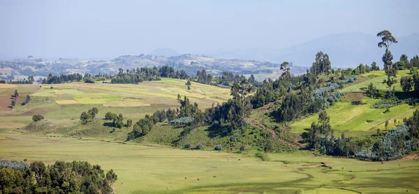 Panorama av Etiopien — Stockfoto
