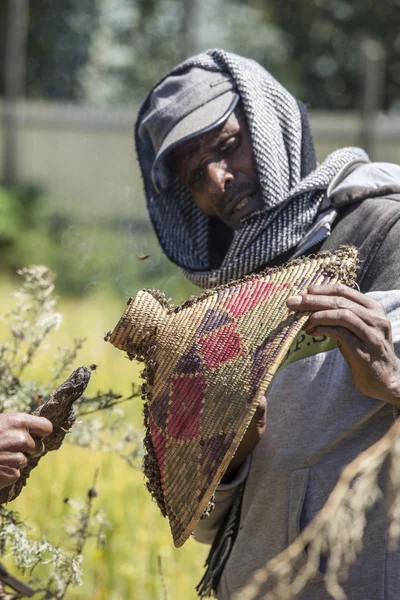 Apicultura en Etiopía — Foto de Stock