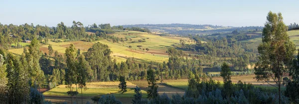 Panorama de 180 grados del campo etíope — Foto de Stock