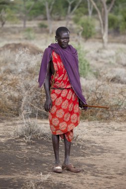 Maasai savaşçı