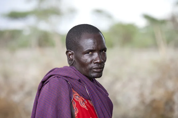 Guerriero maasai — Foto Stock