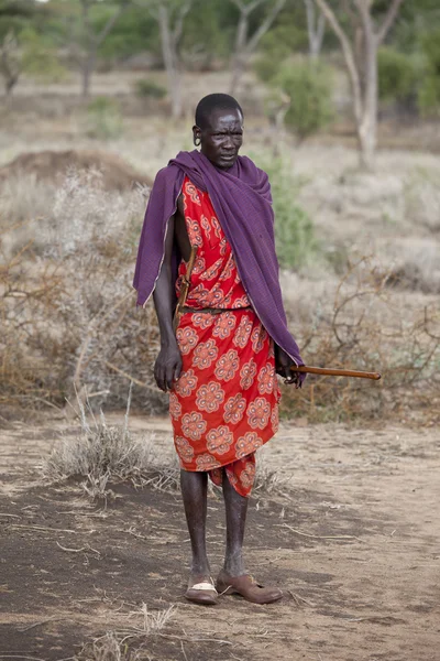 Guerreiro Maasai — Fotografia de Stock