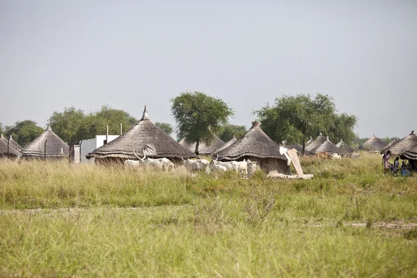 South Sudanese village — Stock Photo, Image