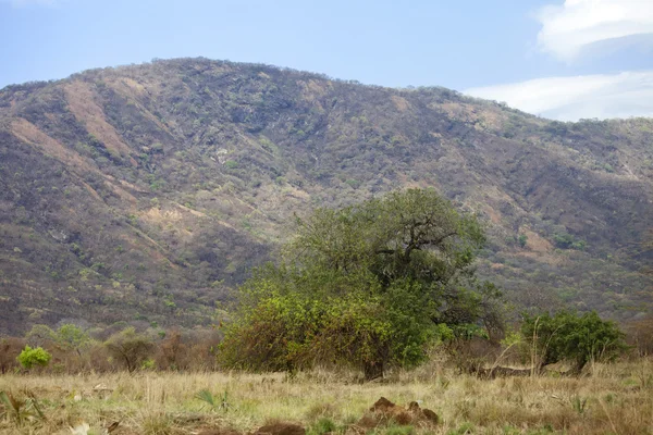 Wildnis des Südsudan — Stockfoto