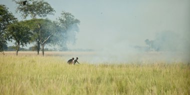 Güney Sudan'da başlangıç grassfir