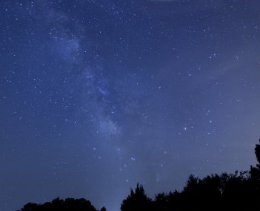 Samanyolu ağaç başında üzerinde