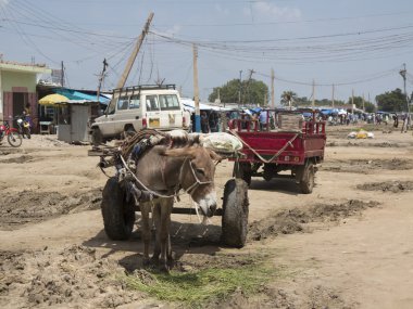 Güney sudan gecekondu