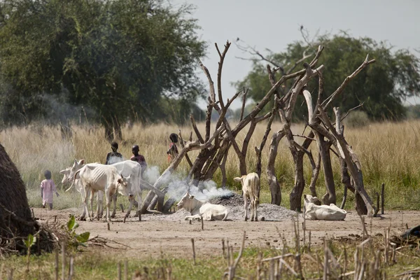 Kinder und Vieh im Südsudan — Stockfoto