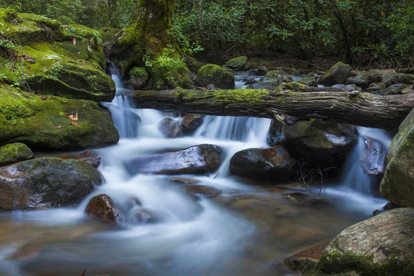 Üppiger wasserfall im süden carolina — Stockfoto