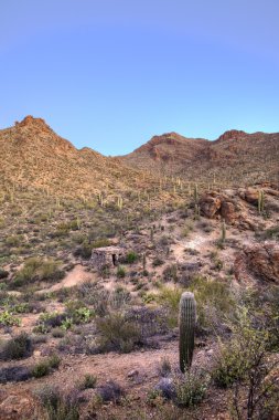 HDR görüntüsünü sonoran Çölü