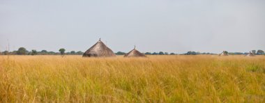 Güney sudan otlak Panoraması