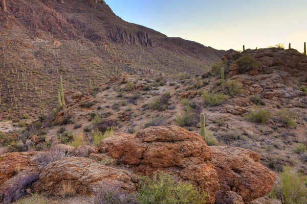 A sonoran sivatagban HDR-kép — Stock Fotó