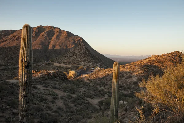 Sonorawoestijn, bergen en weg — Stockfoto