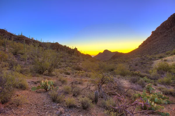 Zonsopgang boven de Sonorawoestijn — Stockfoto