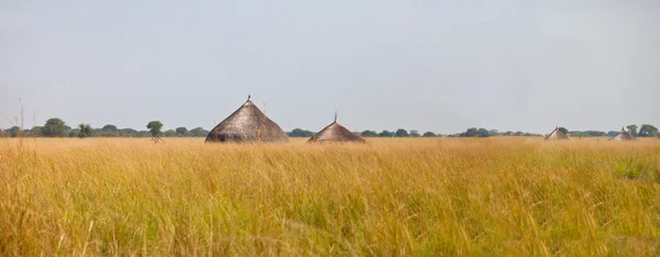 Панорама пасовища Південного Судану — стокове фото