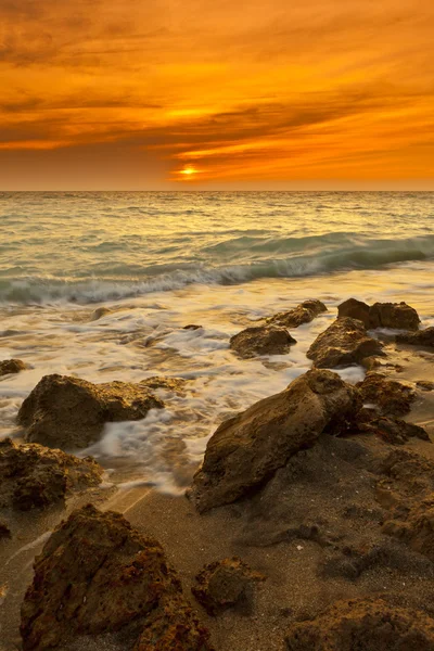 Praia de Venice, florida — Fotografia de Stock