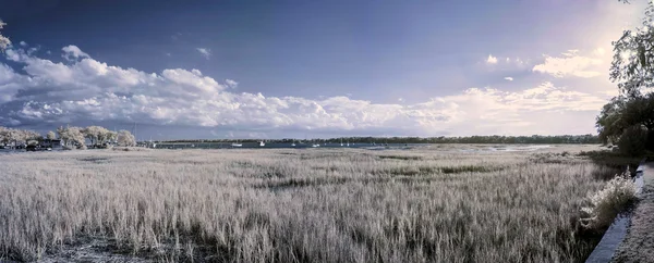 Panorama a infrarossi di acqua, canne e barche — Foto Stock