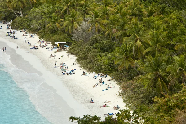 Plage de baie de tronc — Photo