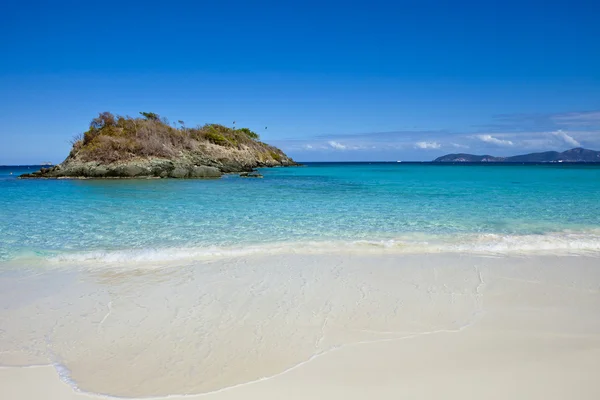 Baía do tronco, usvi — Fotografia de Stock