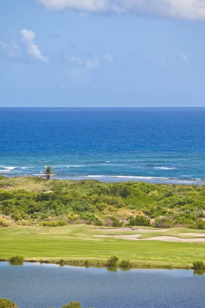 Terrain de golf sur île tropicale — Photo