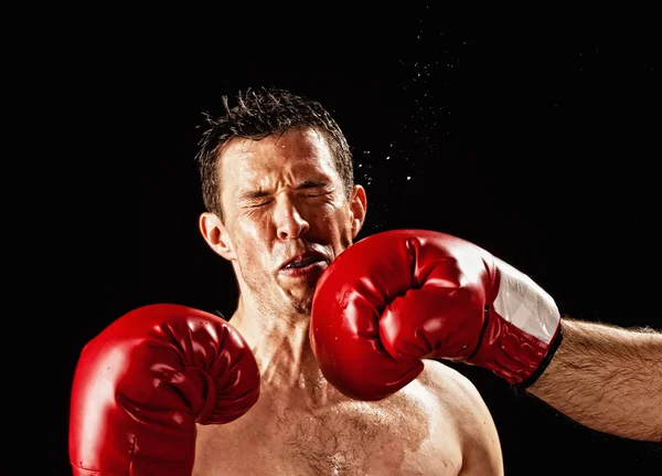 Boxer being hit — Stock Photo, Image