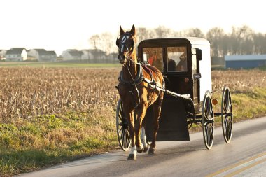 Amish sepeti