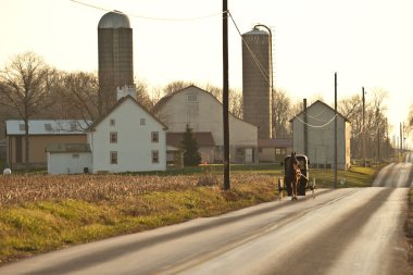Amish at arabası ve çiftlik