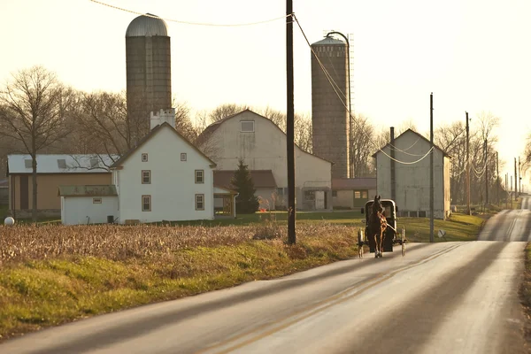 Amish лошадиная повозка и ферма — стоковое фото