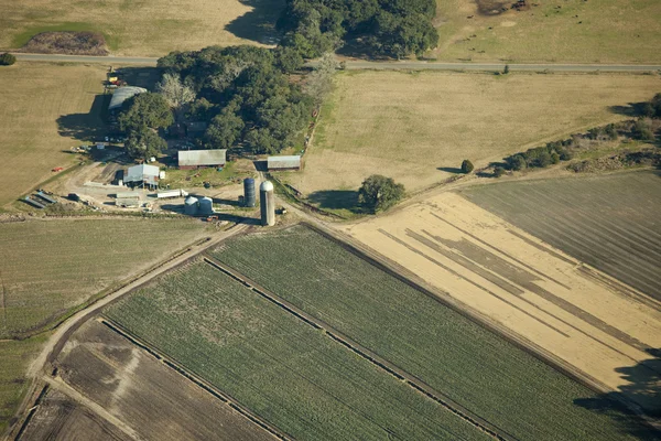 Plantaardige boerderij, luchtfoto — Stockfoto
