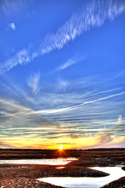 Lits d'huîtres au coucher du soleil — Photo