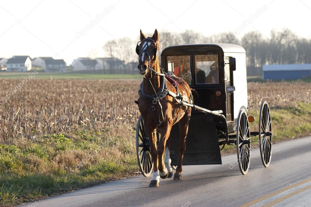 amish horse cart