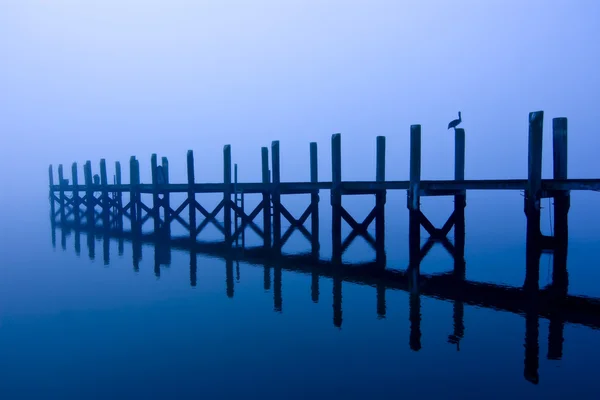 Dock and birds at night — Stock Photo, Image