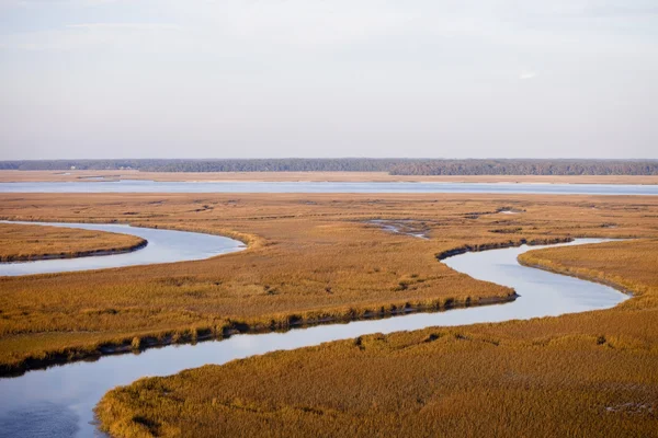 Estero marino y delta del río — Foto de Stock