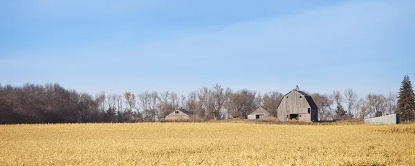 Farm panorama — Stockfoto