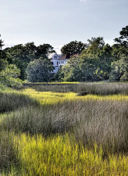 Southern mansion on tidal marsh — Stock Photo, Image