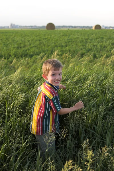 Kleine boerderij jongen — Stockfoto