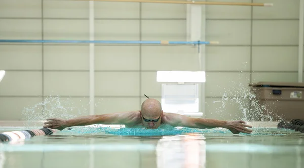 Atleta anciano nadando —  Fotos de Stock