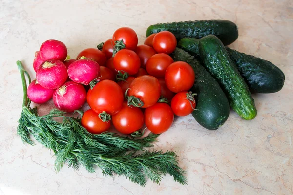 Sayuran segar - tomat ceri, lobak, mentimun dan dill — Stok Foto