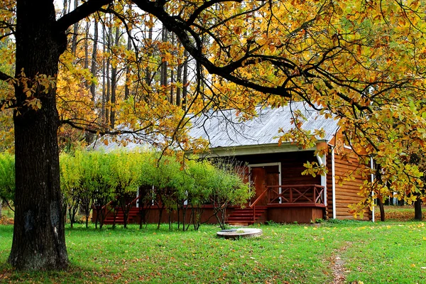 Paesaggio autunnale nella tenuta Muranovo, Russia — Foto Stock