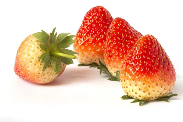 Beyaz arka plan üzerinde izole kırmızı satır olgun çilek.