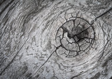 ahşap doku arkaplanı