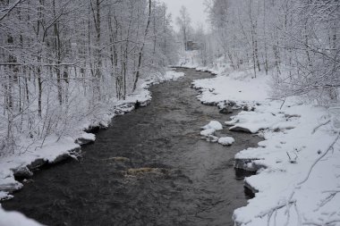 Kış parkında karanlık ve hızlı nehir