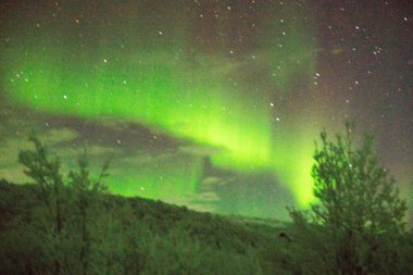 Kışın Murmansk bölgesinde yeşil kuzey ışıkları