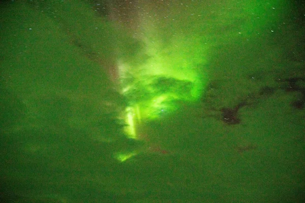 green northern lights in the murmansk region in winter